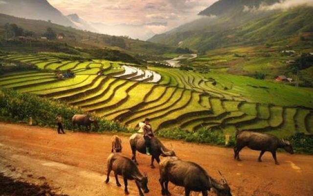 Royal Hotel Ha Giang