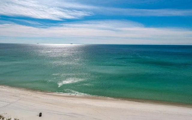 Pelican Walk 904