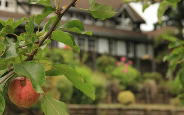 Fantail Lodge Backpackers