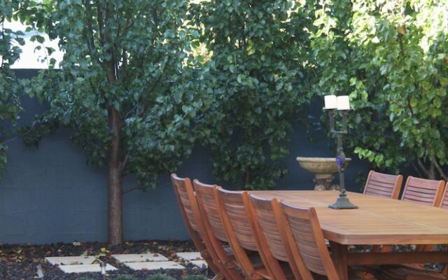 Bel Miren - Sarah Louisa