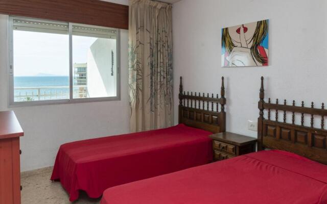 Florazar 1, Iii-B 8-B