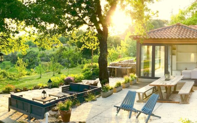 Wild Boar Mountain - France