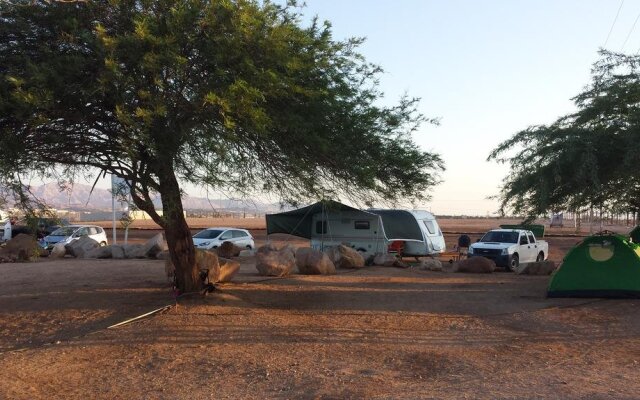 Caravan In the Desert