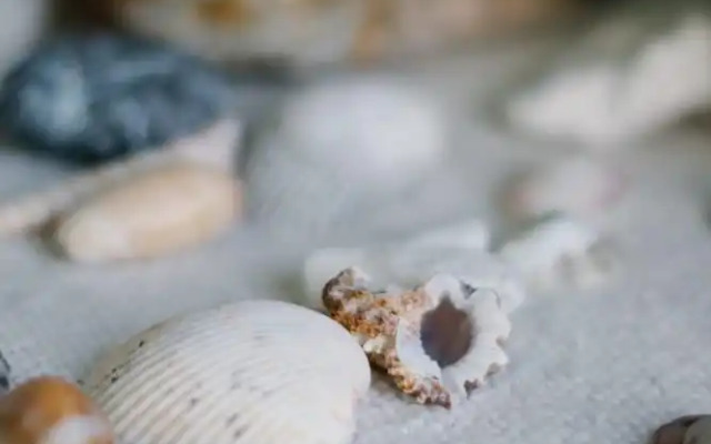 Apartamento Ganesha Liberia