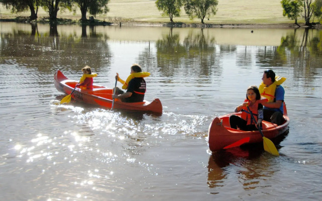 Diamond Forest Farm Stay