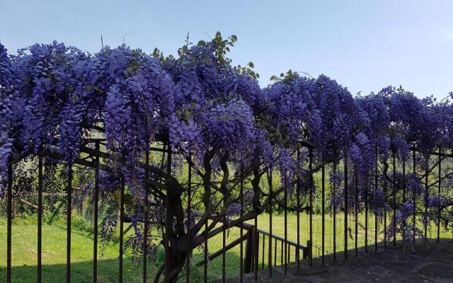 Agriturismo Il Pintello