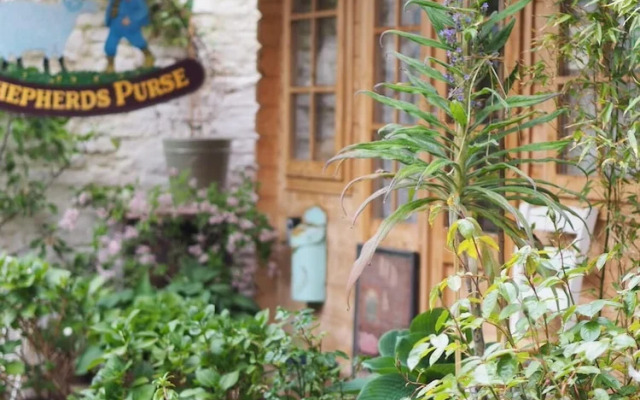 The Shepherd's Purse