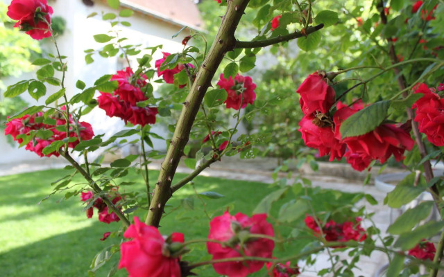 Chambres d'hôtes Saint Nicolas