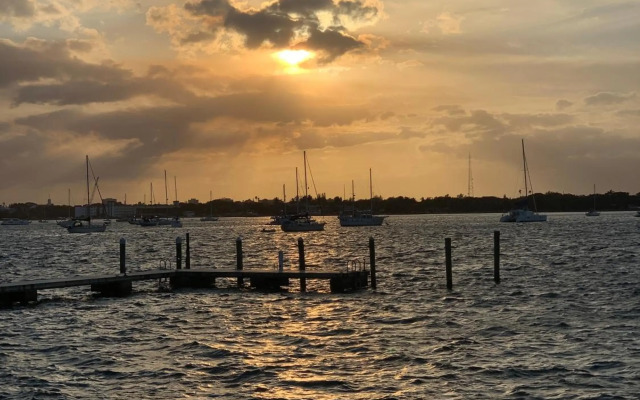 Tropicals of Palm Beach