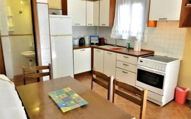 Zennova 23 Nikiti Family Green Nest