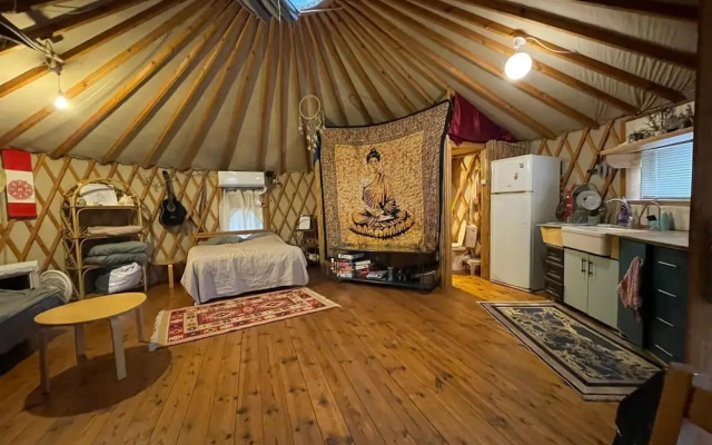 Yurt Located in a Little oak Grove