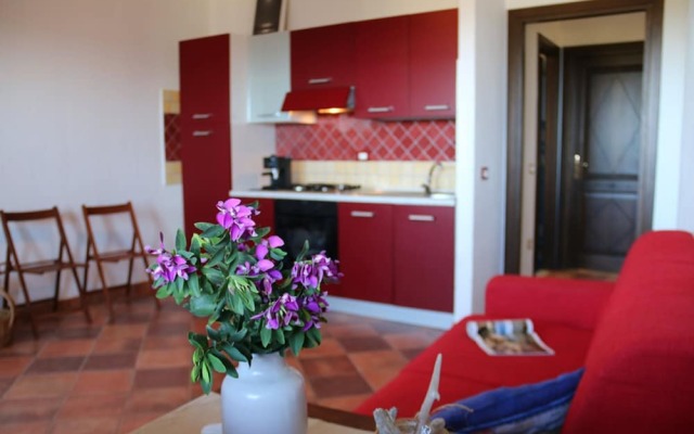Casa Cipro 1 Bedrooms Apartment in Lu Bagnu