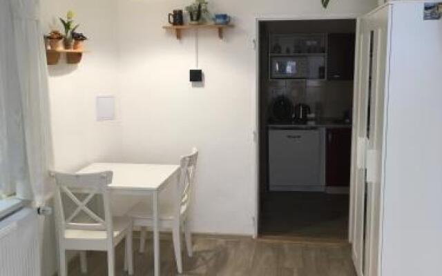 Top Apartmany Lesni