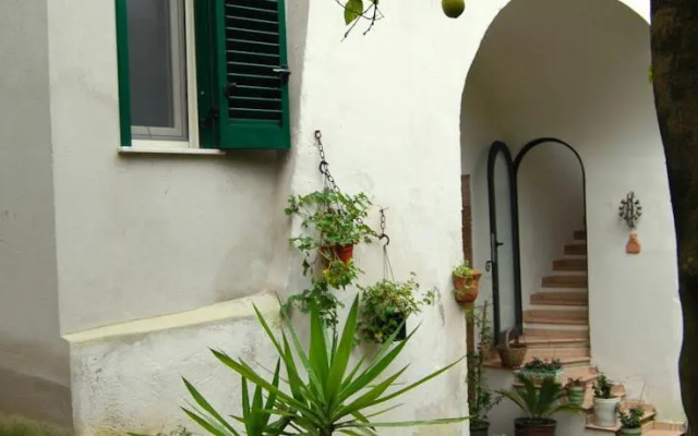 Sorrento Studios Lemons Hill