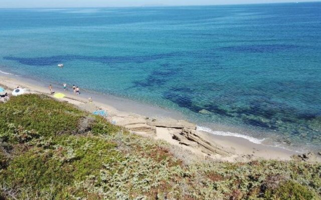 Tenute Costadoria (Valle di Cynara)
