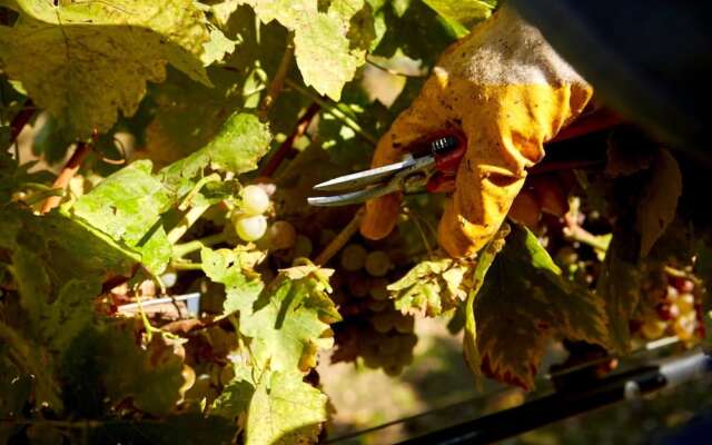 Hotel Weingut Rosenhof