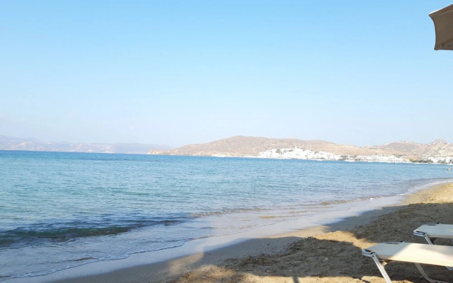 Iliachtida