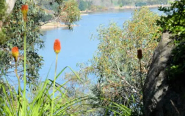 The Point Jindabyne