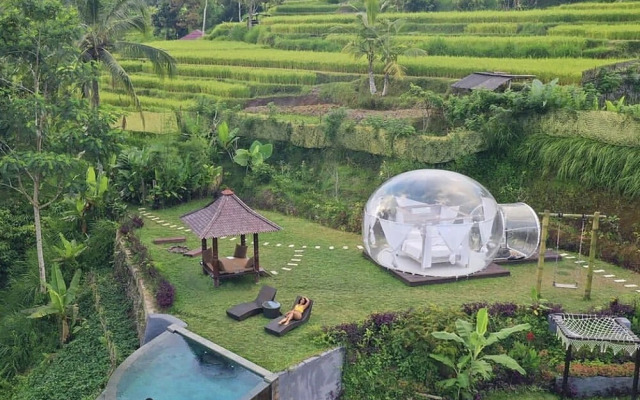 Bubble Hotel Bali Ubud - Glamping