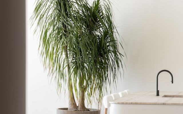 Luxury 4BR Ocean View Villa Near Bingin Beach