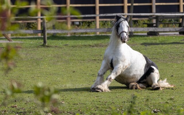 Familien- & Aparthotel Strandhof
