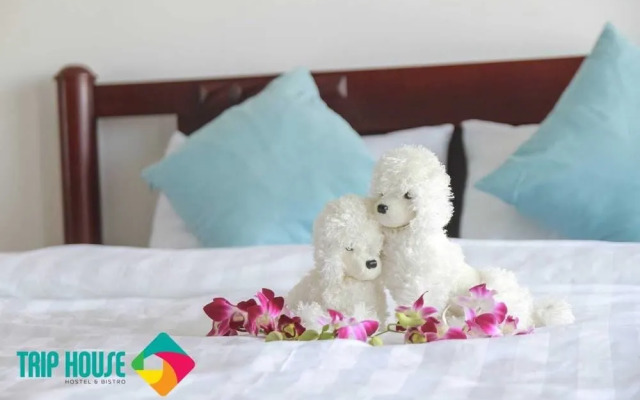 TripHouse Hostel Da Nang