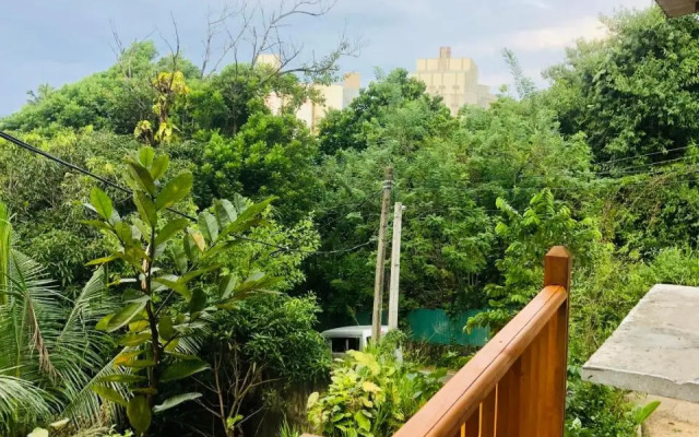 Jungle Beach Hostel