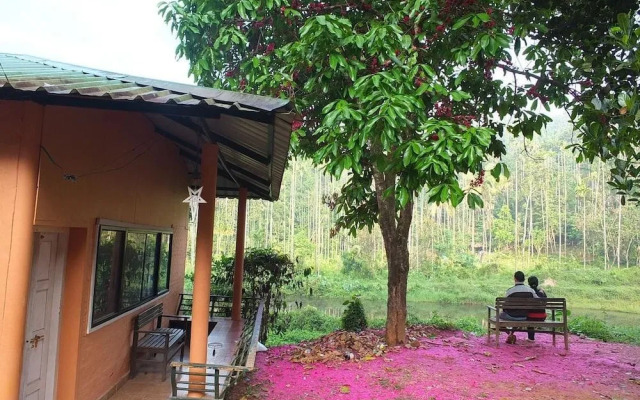 Jungle Valley Resort