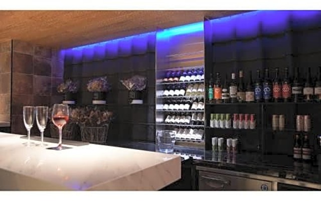 Willows Hotel Osaka Shin Imamiya - Vacation STAY 03163v