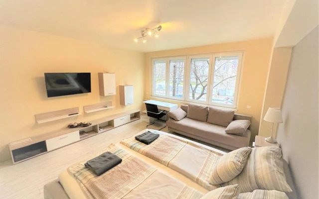 Brand new apartment in the center