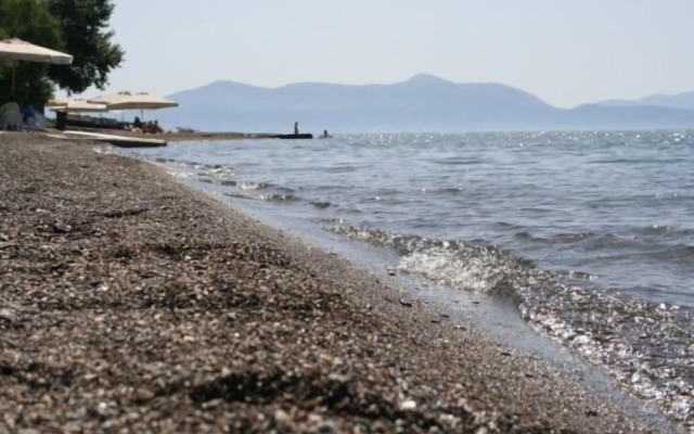 Posidonia Pension