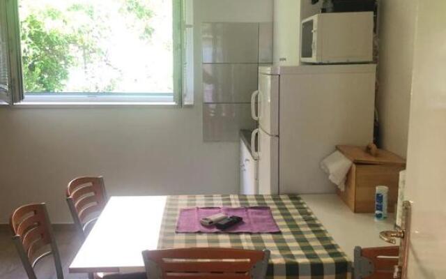 Apartments Zamicka
