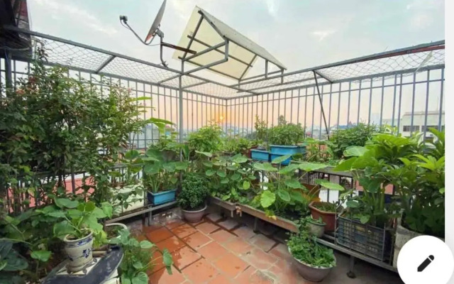 23 Homestay