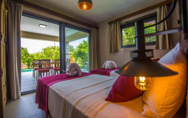 Volans Suites
