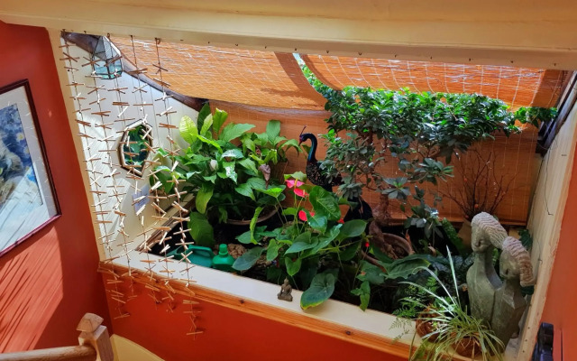 Alma House Bed and Breakfast