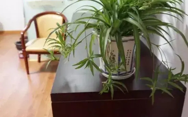 Meishan Hotel (Nanjing Lishui Branch)