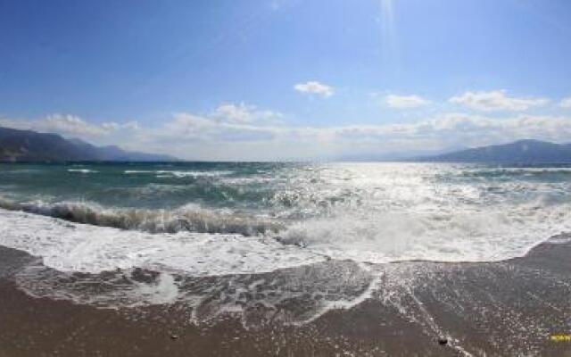Oasis By The Sea