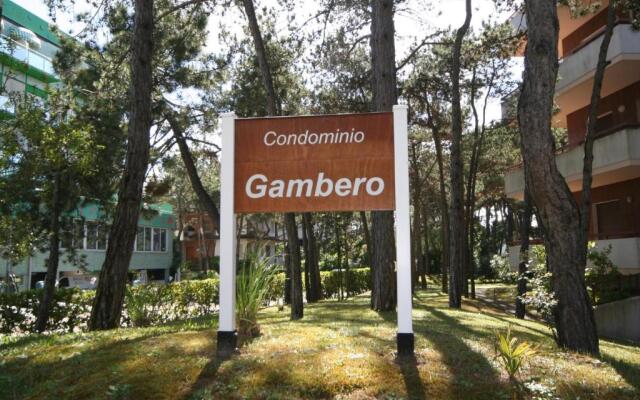 BA -Gambero
