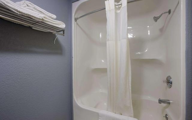 Quality Inn & Suites Big Rapids near University