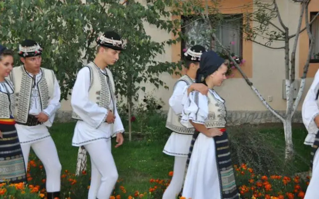 Pension Lunca Sibielului