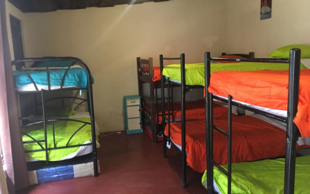 Greenhouse Hostel