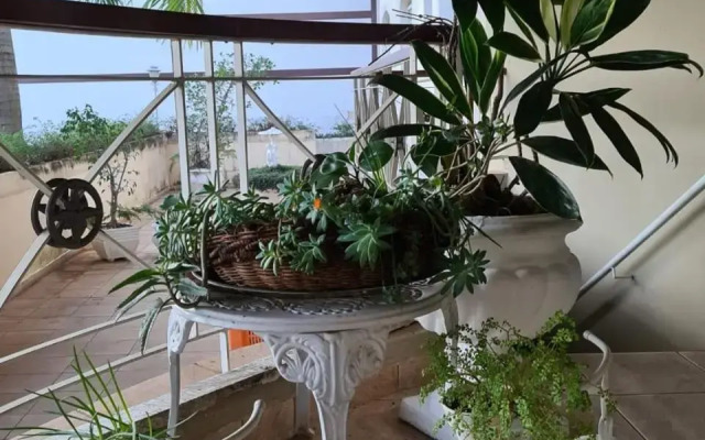 Vitoria Garden