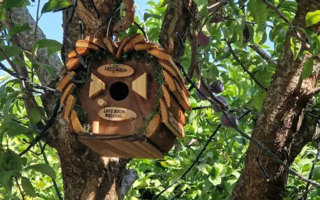 Sky Room Carrara Hydromassage With Parking