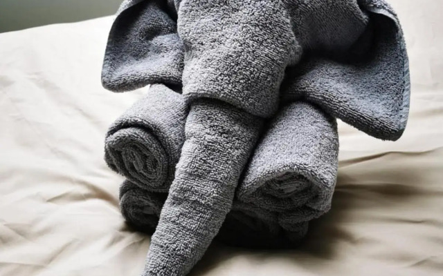 Rheinufer am Hindenburgpark