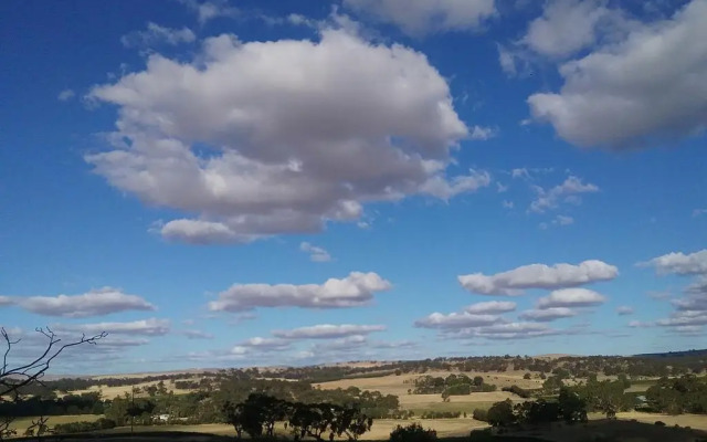 Mt Surmon Wines/Scarlattis Gallery/The Retreat