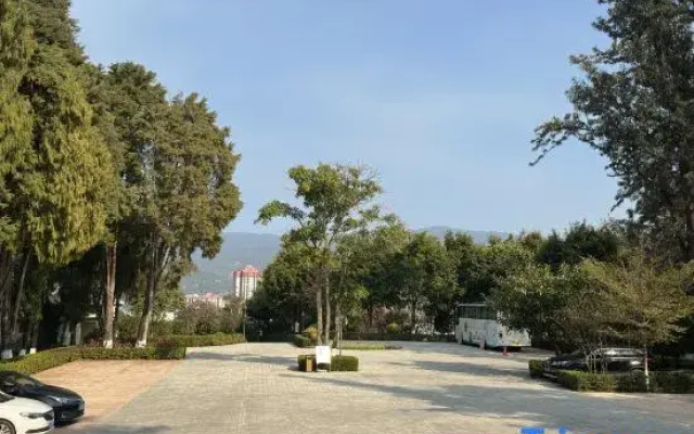 Tianyi Tea Homestay