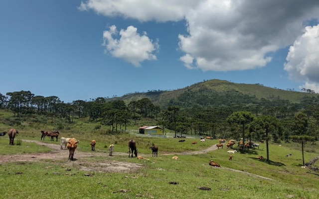 Casa de Temporada Fazenda Borba