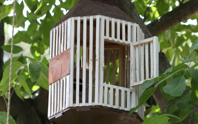 Birgi Yeni Gelin Evi