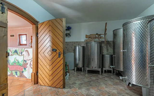 Vineyard Cottage Lustek