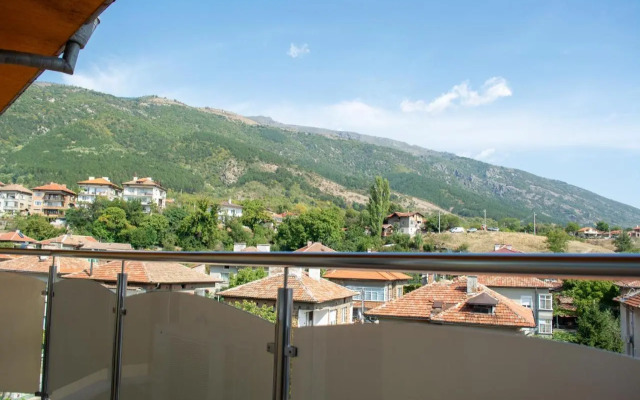 Central Apartment Mountain View
